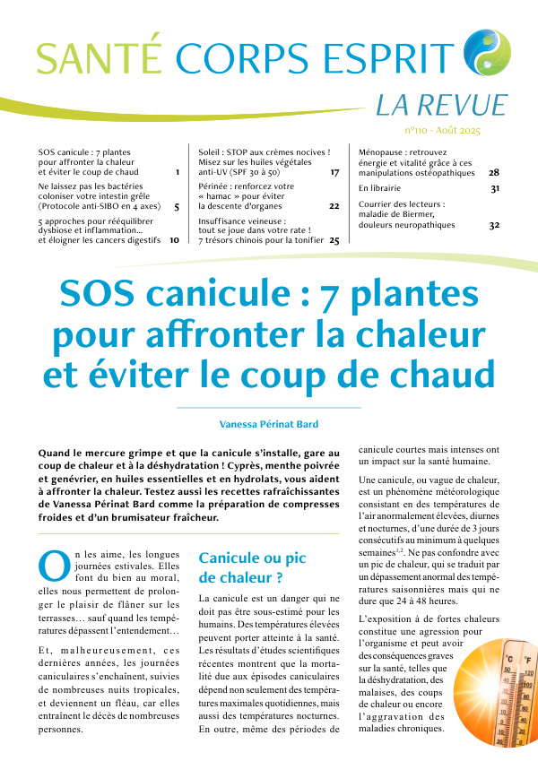 Canicule : 7 plantes pour affronter la chaleur, éviter le coup de chaud