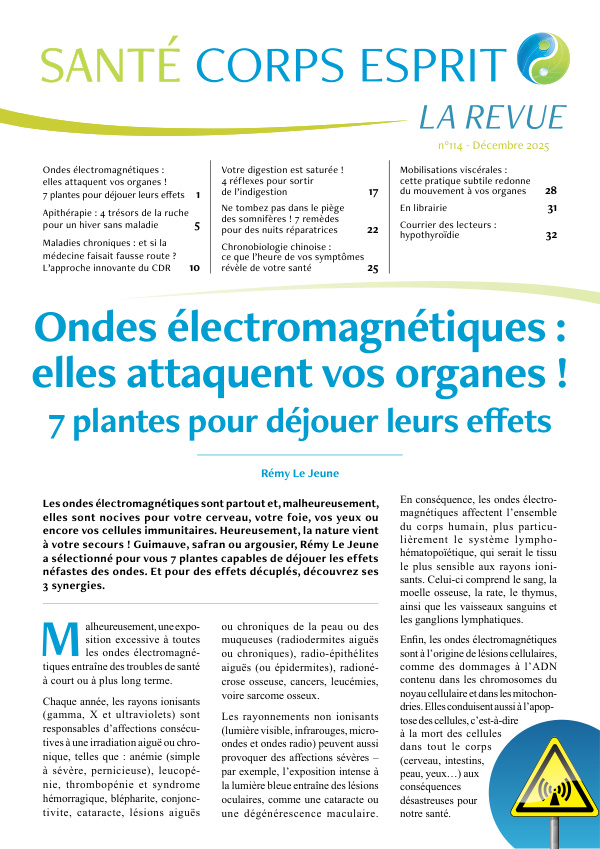 Ondes électromagnétiques : 7 plantes pour déjouer leurs effets néfastes