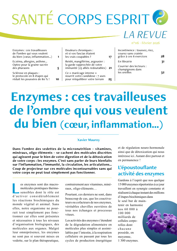 Enzymes : ces travailleuses de l'ombre qui vous veulent du bien