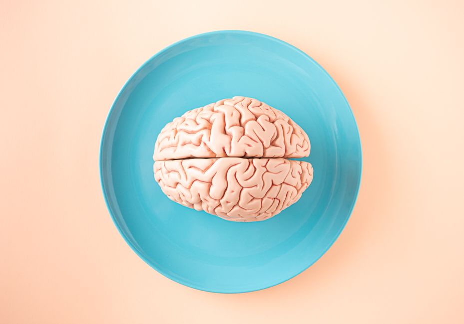 Mémoire, humeur, sommeil… Votre cerveau est-il « excitotoxique » ?
